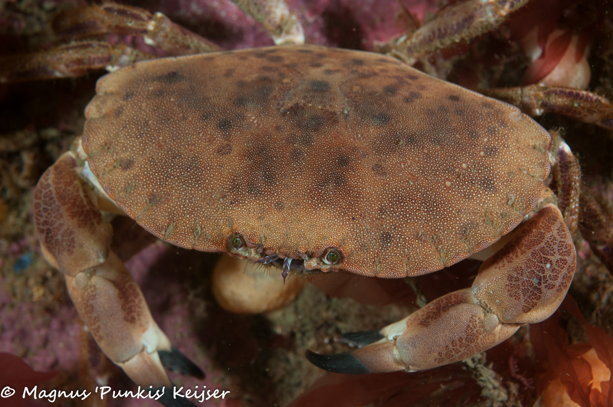 19 april 2019